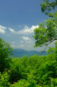 View from Roaring Fork Motor Nature Trail Stock Photos
