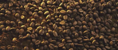 View of roasted coffee beans Video stock 247382673