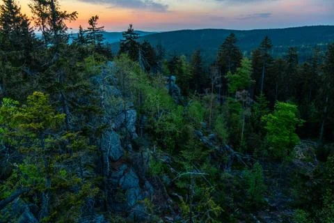 View from the rock on the forest before dawn Stock Photos