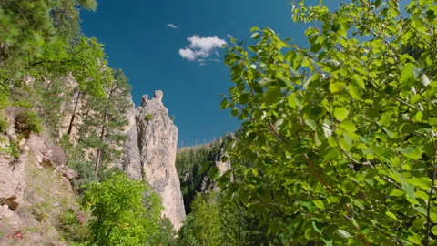 View of Rock Formation in Gorge through Trees Stock Footage 311951429