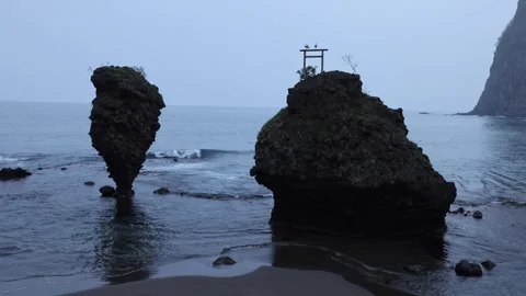 View of rock formations with a torii gate in the sea, Japan. Video stock 343679554