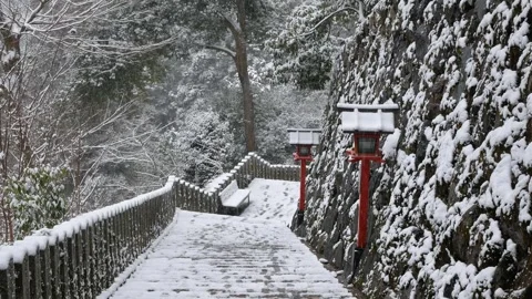 View to rock stair pathway covered with snow on mountain of Kyoto among pin.. 스톡 동영상 289813517
