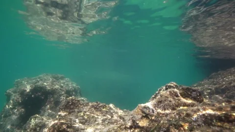 View of the rock under the water Stock Footage 111557128