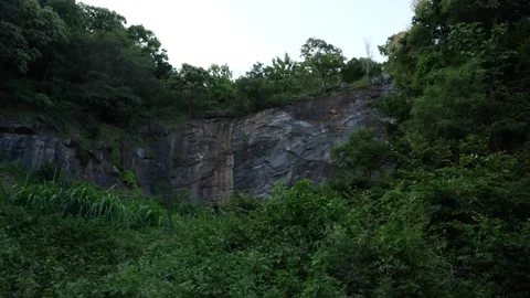 View of rock wall in the forest, Rock wall in dense forest 動画素材 156955715