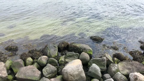 View of rocks on the seashore Stock Footage 153406881