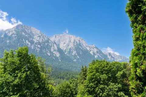 View of rocks, trees from the forest Stock Photos