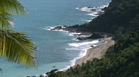 View of rocky cliff with forest on the flank with palm leaf foreground Video stock 607680