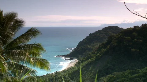 View of rocky cliff with forest on the flank with palm leaf foreground Video stock 610545