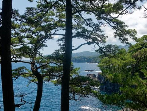 View of rocky cliffs with pine trees in Jogasaki coast in Izu, Japan Foto stock