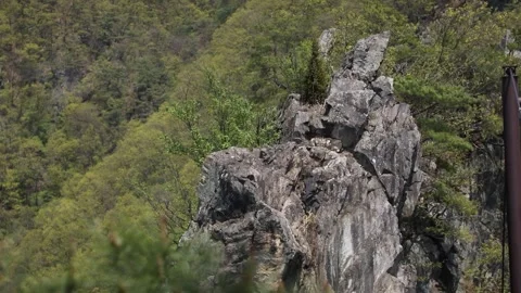 View of the rocky mountain Video stock 310919557