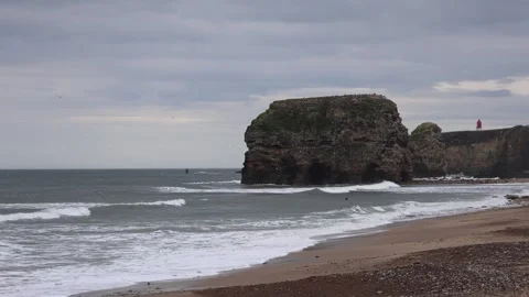 View of a Rocky Seashore With Many Seagulls on a Cloudy Day Stock Footage 246941276