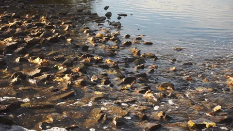 View of the rocky shore Stock Footage 96381047