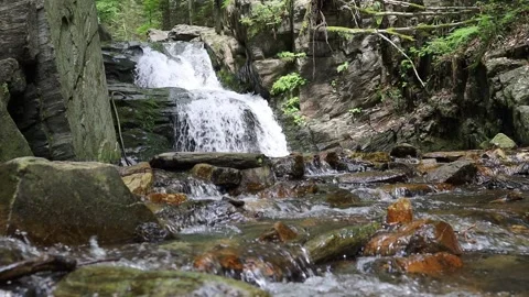 View of rocky waterfall in the forest. Video stock 200992780