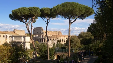 View of Roman Colosseum Through Trees in Rome, Italy Stock-Footage 88190153