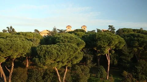 View of Rome behind trees Stock Footage 47933646