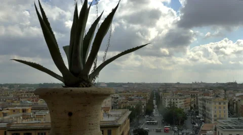 View of Rome from Vatican with plant in foreground - 4K UHD 0308 Stock Footage 50058905