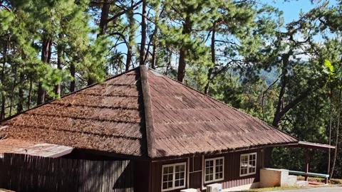 View to roof with pine tree forest in autumn daytime Stock Footage 335087149