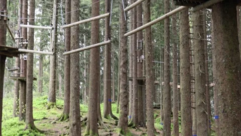 View of rope course in forest near Mount Pilatus, Switzerland. Stock-Footage 343667822