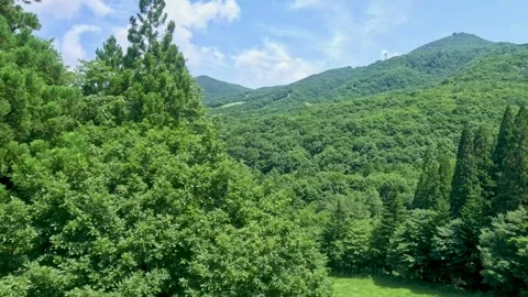 View from the ropeway Stock Footage 246669449