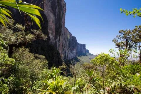 View from Roraima Tepui - Table Mountain - Triple border, Venezuela, Guyana,  Stock Photos