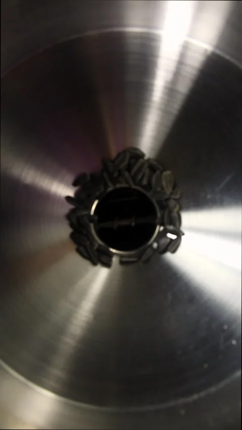 View of the rotating feed screw through the oil press hopper. Stock Footage 168888862