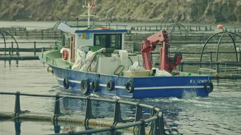 View of round fish cages at a fish farm in the Aegean Sea near Izmir. Vídeos de archivo 170016553