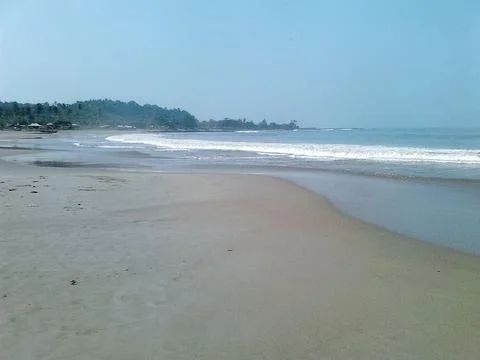View of rows of trees and beach waves Stock Photos