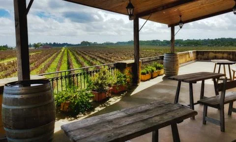 A view of rows of vines in a vineyard from a villa balcony with wooden tables Stock Photos