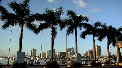 View of Roxas Blvd and Malate High Rise Buildings late Afternoon Video stock 38605175