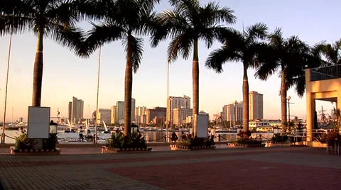 View of Roxas Blvd and Malate High Rise Buildings late Afternoon Video stock 38605220