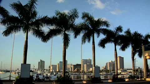 View of Roxas Boulevard and Malate Buildings in the Late Afternoon Stock Footage 327888744