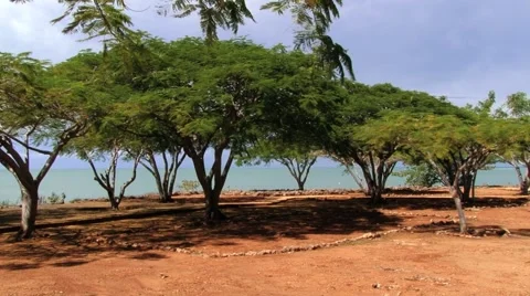 View to the ruins of La Isabela settlement in Puerto Plata, Dominican Republic. Stock Footage 58352255