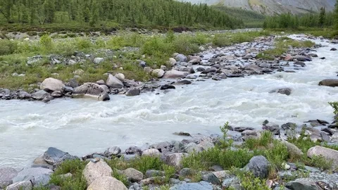 View of the running cold stormy Katun River, Altai, Russia Stock-Footage 246060895