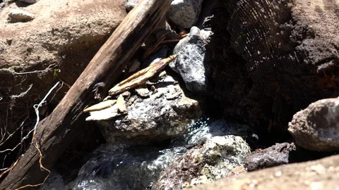 View of the running spring in the mountains Video stock 91212011