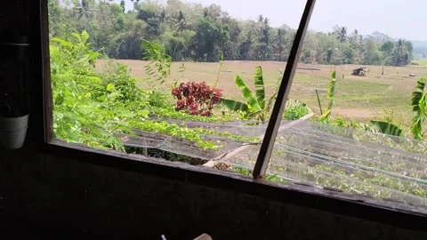 View of rural landscape and fields from indoor window 库存影片 346802813