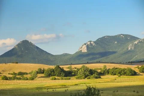 View of rural landscape Stock Photos
