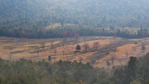 View of a rural landscape with sparse trees and forest, Nepal. Stock Footage 335604200