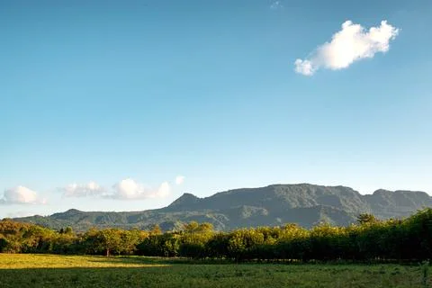 A view of a rural mountain range with clear blue skies. Stock Photos