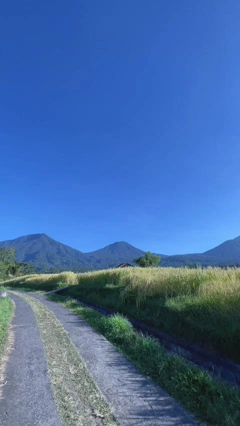View of Rural Road and Mountain Range with Sky Copy Space in Bali Stock Footage 336696402