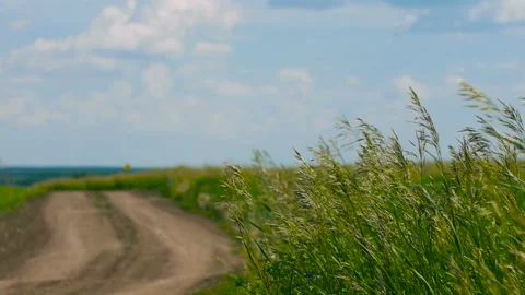 View of a rural road passing in the middle of a green field Video stock 104701462