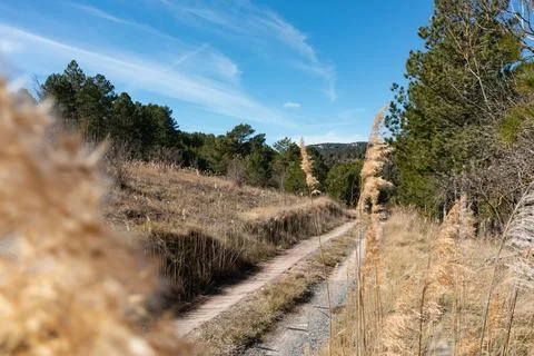 View of a rural road Stock Photos