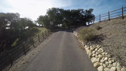 View up a rural road by a vineyard Stock-Footage 92104600