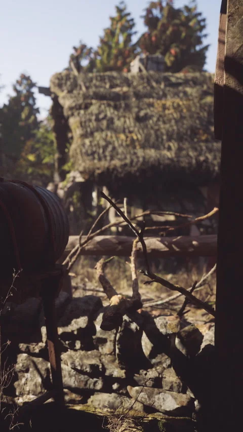 View of a rustic cabin in the woods with a thatched roof and surrounding trees Stock Footage 339766505