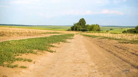 View of a rustic, rural road. Driving on a country road. Stock Footage 202882410