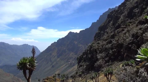 View of the Rwenzori Mountains, Uganda 库存影片 44323889