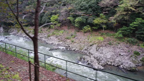 View from Sagano Sight-Seeing Tramトロッコ嵯峨駅, Kyoto, Japan Stock Footage 291758893
