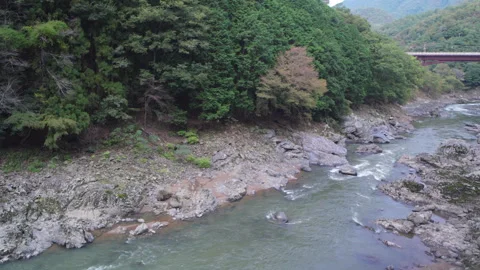View from Sagano Sight-Seeing Tramトロッコ嵯峨駅, Kyoto, Japan Stock Footage 291759087