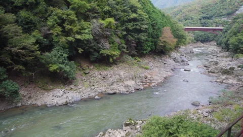 View from Sagano Sight-Seeing Tramトロッコ嵯峨駅, Kyoto, Japan Stock Footage 291759096
