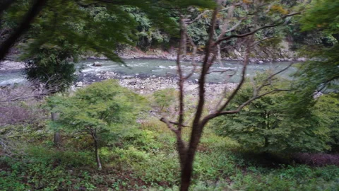 View from Sagano Sight-Seeing Tramトロッコ嵯峨駅, Kyoto, Japan Stock Footage 291759099
