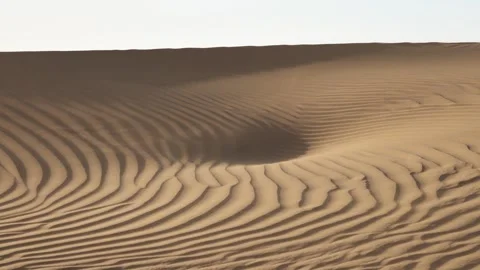 View of Sahara Desert sand dunes in Morocco. 库存影片 343681870